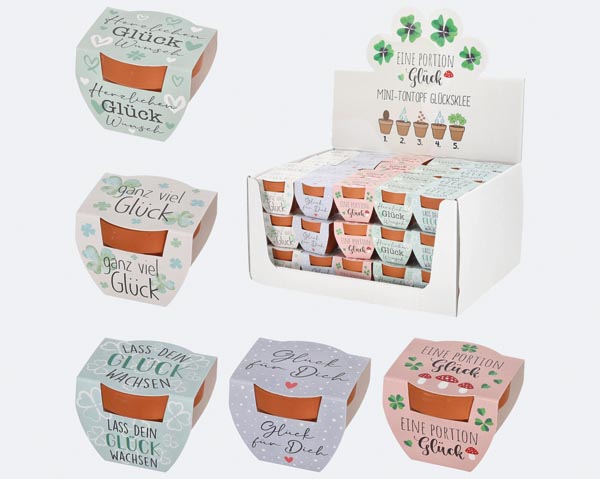 Lucky Clover Mini Clay Pot in a display box, 5 pieces, clay