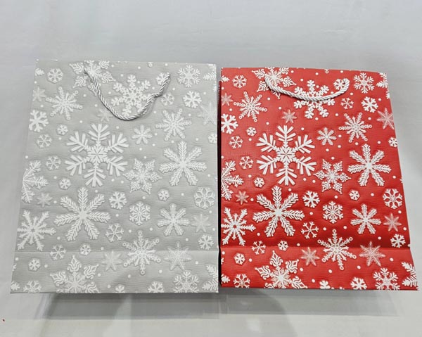 Dreamy embossed gift bag, 23x18x10cm, assorted in two design