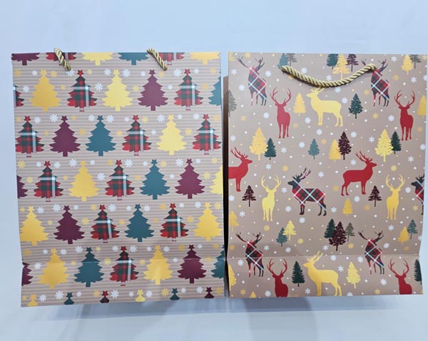 Classic Nordic-style gift bag 23x18x10cm, 2 great designs, m