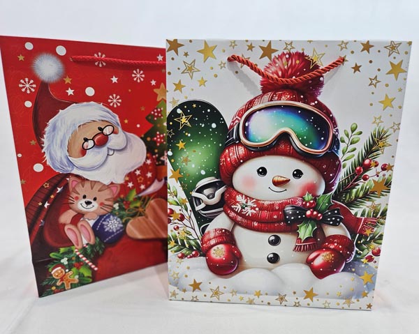 Gift bag XL 32x26x10cm, two great designs assorted with colo