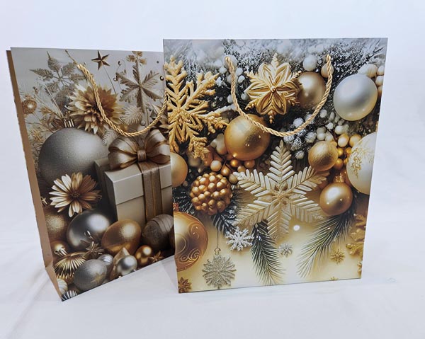 Gift bag XL 32x26x10cm, two great designs assorted with colo