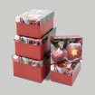Geschenkkarton, 5er Set, rot, Kerze und Apfel LBH