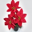 Magnifique poinsettia XL avec trois grandes fleurs, 22x12cm,