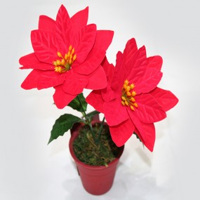 Magnifique poinsettia XL avec deux grandes fleurs, 18x13cm,